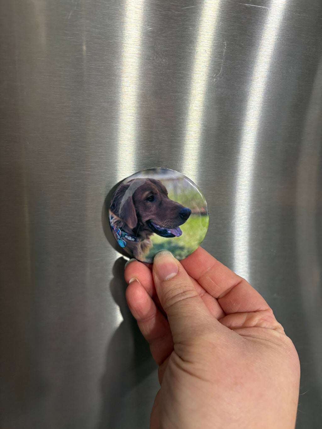 Custom Magnet 3 Pack